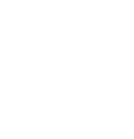 Empty project icon